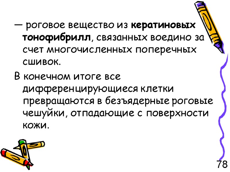 — роговое вещество из кератиновых тонофибрилл, связанных воедино за счет многочисленных поперечных сшивок. В